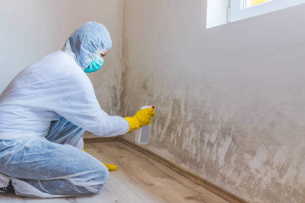 Bathroom Mold Removal assessment in Mound bathroom